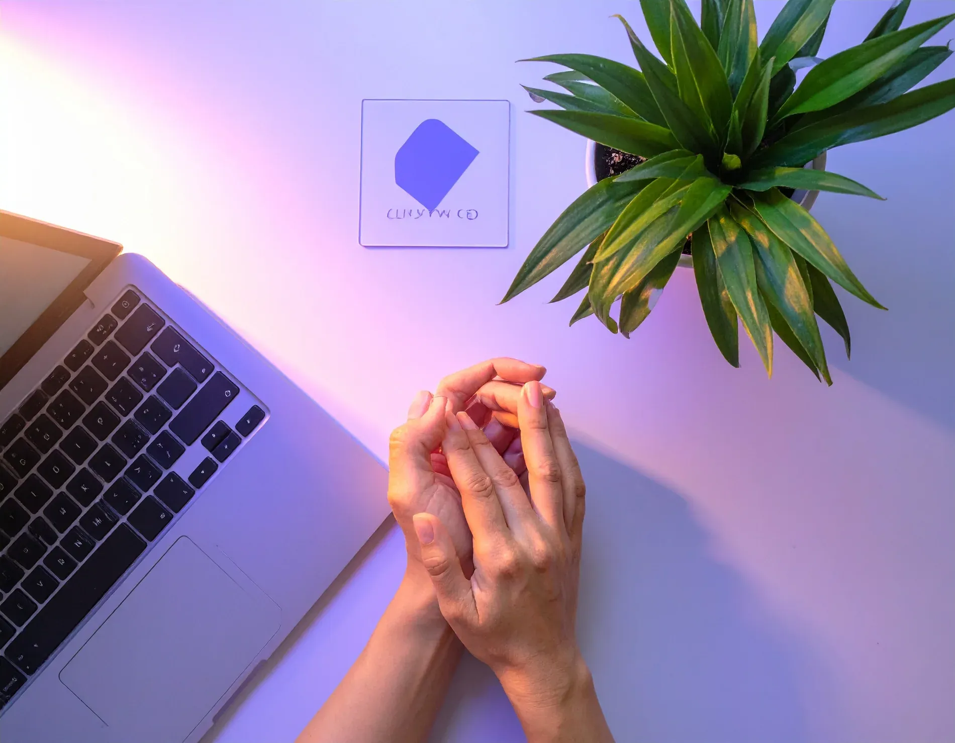 A digital consultation and planning session at a bright desk